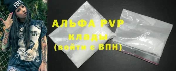 сатива Осинники