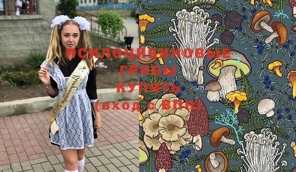 дурь Нязепетровск