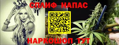 Альфа ПВП Балаково