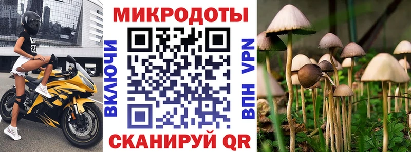 Псилоцибиновые грибы Magic Shrooms  продажа наркотиков  Кузнецк 