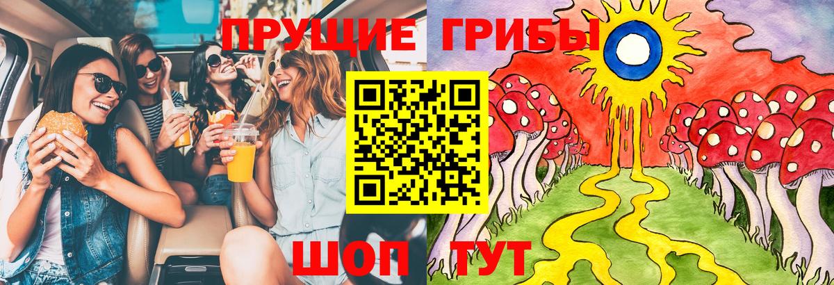 Псилоцибиновые грибы Cubensis  Вход с VPN  Кузнецк 